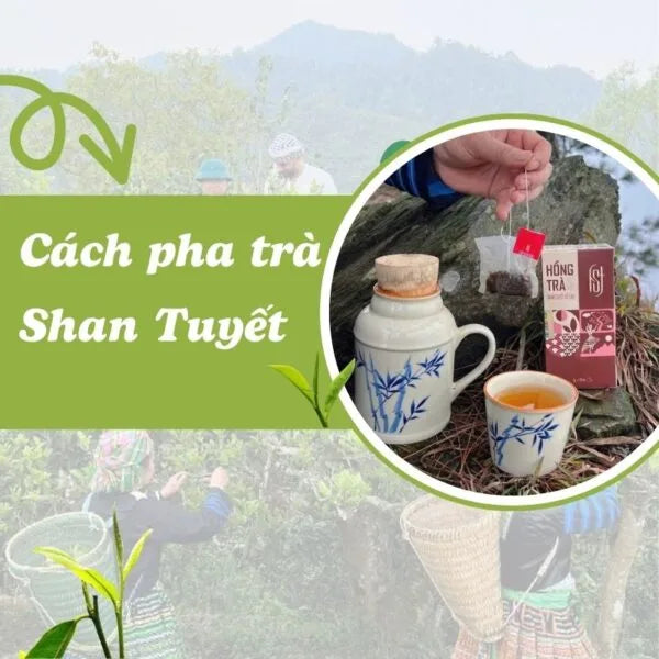 Cách pha trà Shan Tuyết cổ thụ ngon, giữ trọn hương vị núi rừng