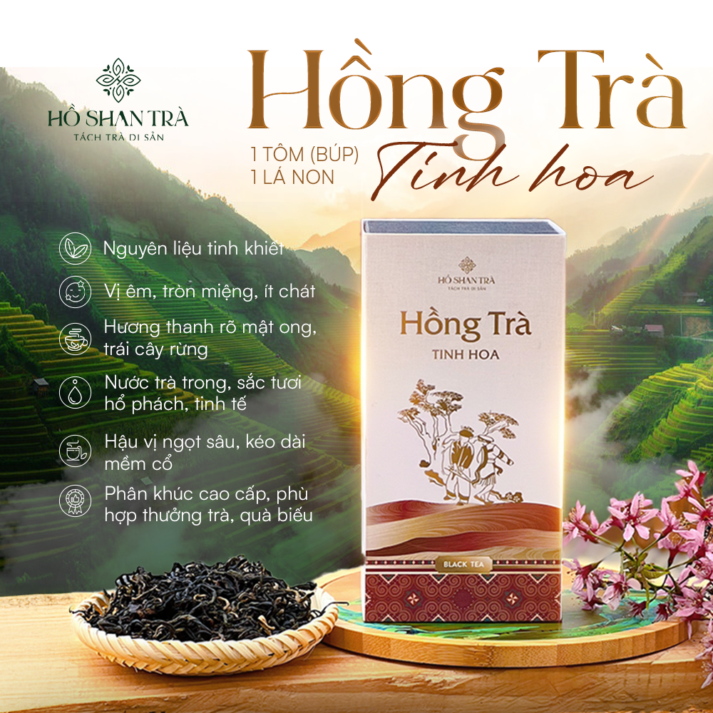 Hongtra copy 2.png__PID:8196c8ba-e9ab-486f-a78c-ccb25cb3e91b