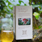 Lục Trà Shan Tuyết Cổ Thụ – Lục Trà Di Sản