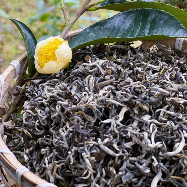 Lục Trà Shan Tuyết Cổ Thụ – Lục Trà Di Sản