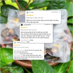 An Shan Trà – Trà Shan Tuyết Cổ Thụ Thảo Mộc