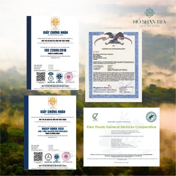 An Shan Trà – Trà Shan Tuyết Cổ Thụ Thảo Mộc