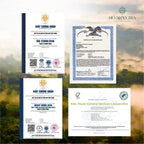 An Shan Trà – Trà Shan Tuyết Cổ Thụ Thảo Mộc