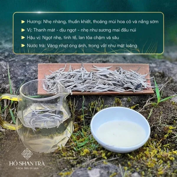 Bạch Trà Shan Tuyết Cổ Thụ