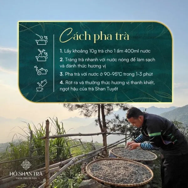 Bạch Trà Shan Tuyết Cổ Thụ