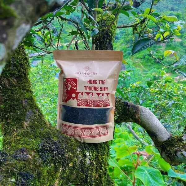 Hồng Trà Shan Tuyết Cổ Thụ – Hồng Trà Trường Sinh