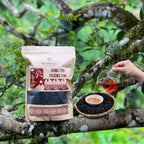 Hồng Trà Shan Tuyết Cổ Thụ – Hồng Trà Trường Sinh