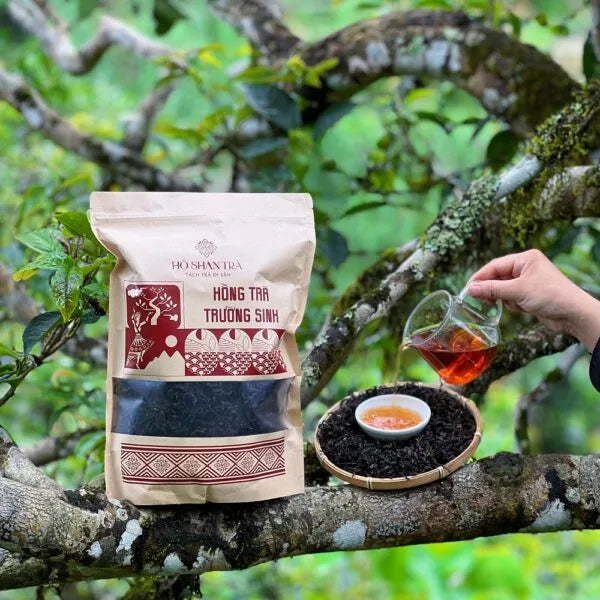 Hồng Trà Shan Tuyết Cổ Thụ – Hồng Trà Trường Sinh