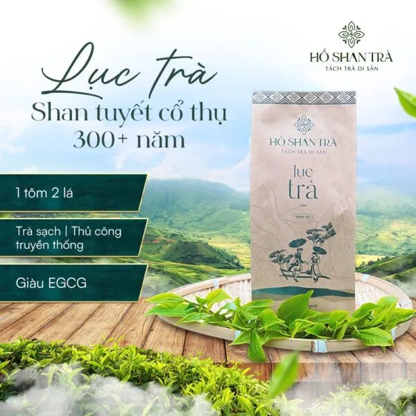 Lục Trà Shan Tuyết Cổ Thụ – Lục Trà Trường Thọ