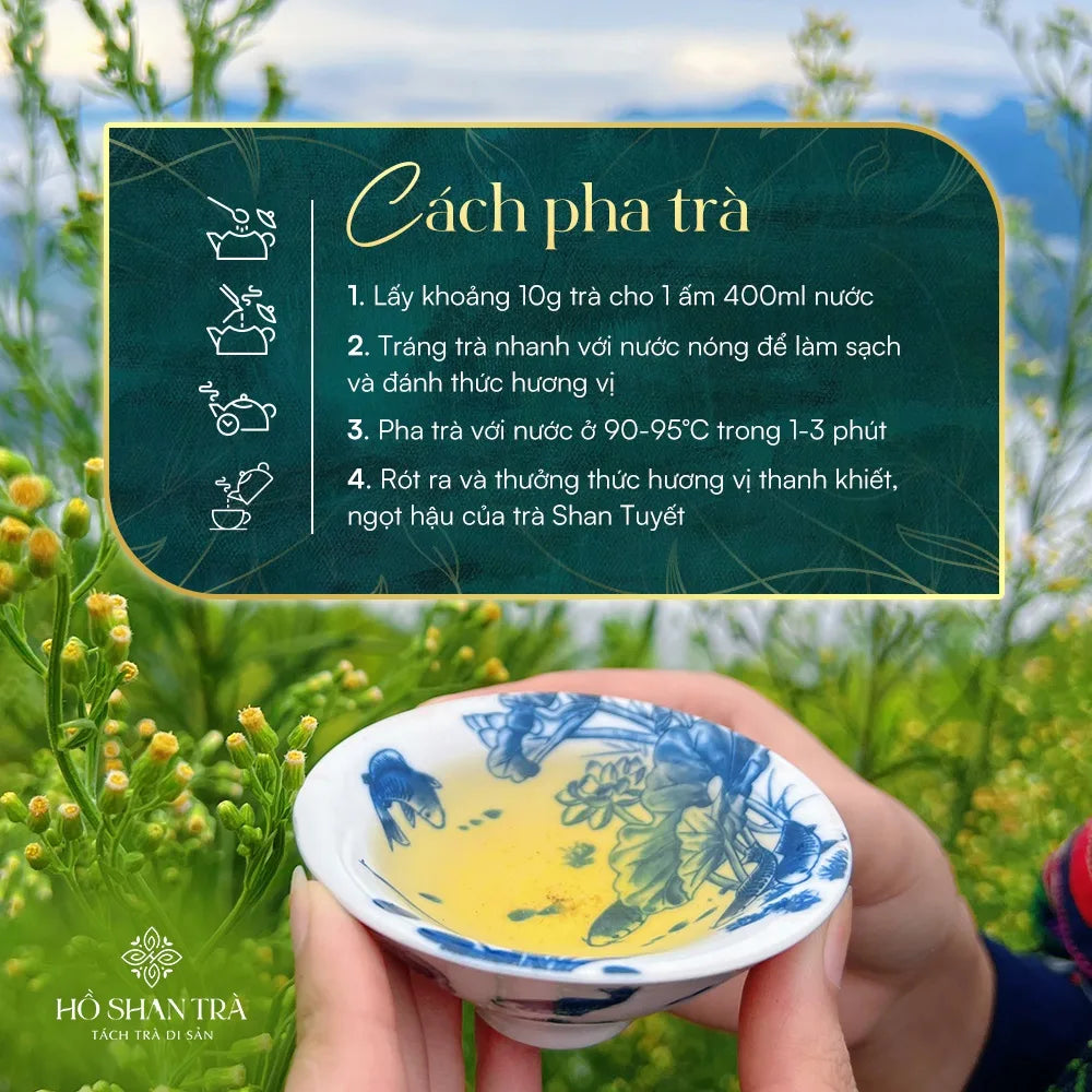 Lục Trà Shan Tuyết Cổ Thụ – Lục Trà Trường Thọ