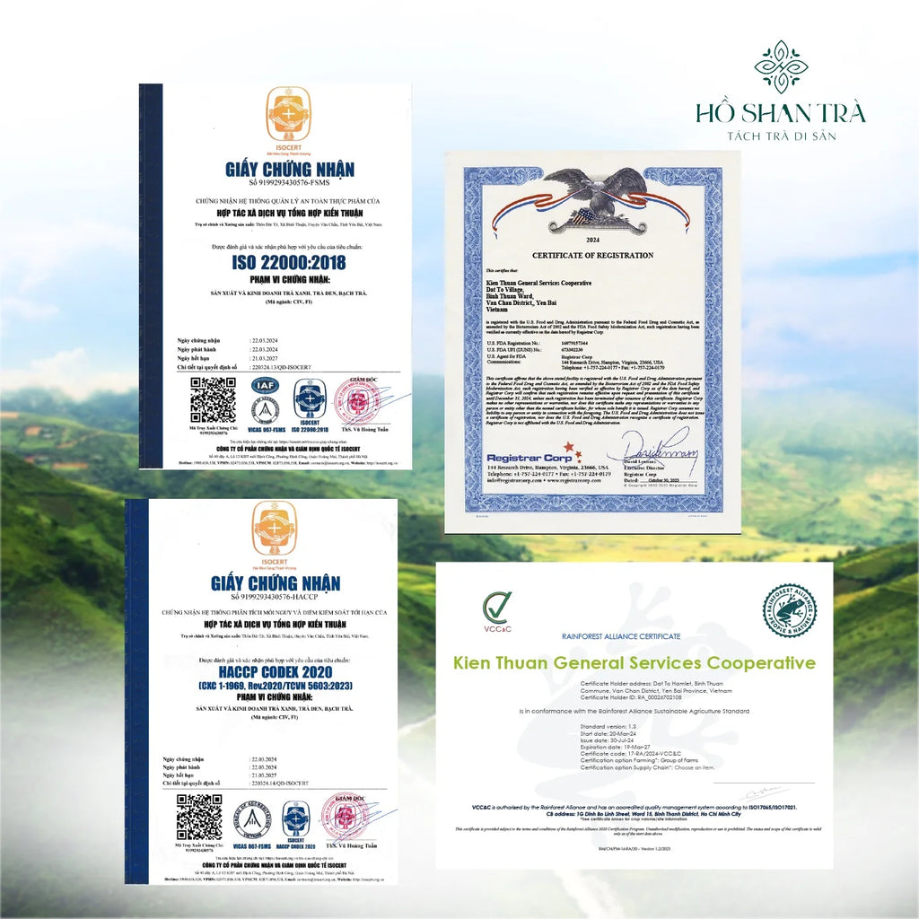 Lục Trà Shan Tuyết Cổ Thụ – Lục Trà Trường Thọ