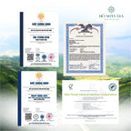 Lục Trà Shan Tuyết Cổ Thụ – Lục Trà Trường Thọ