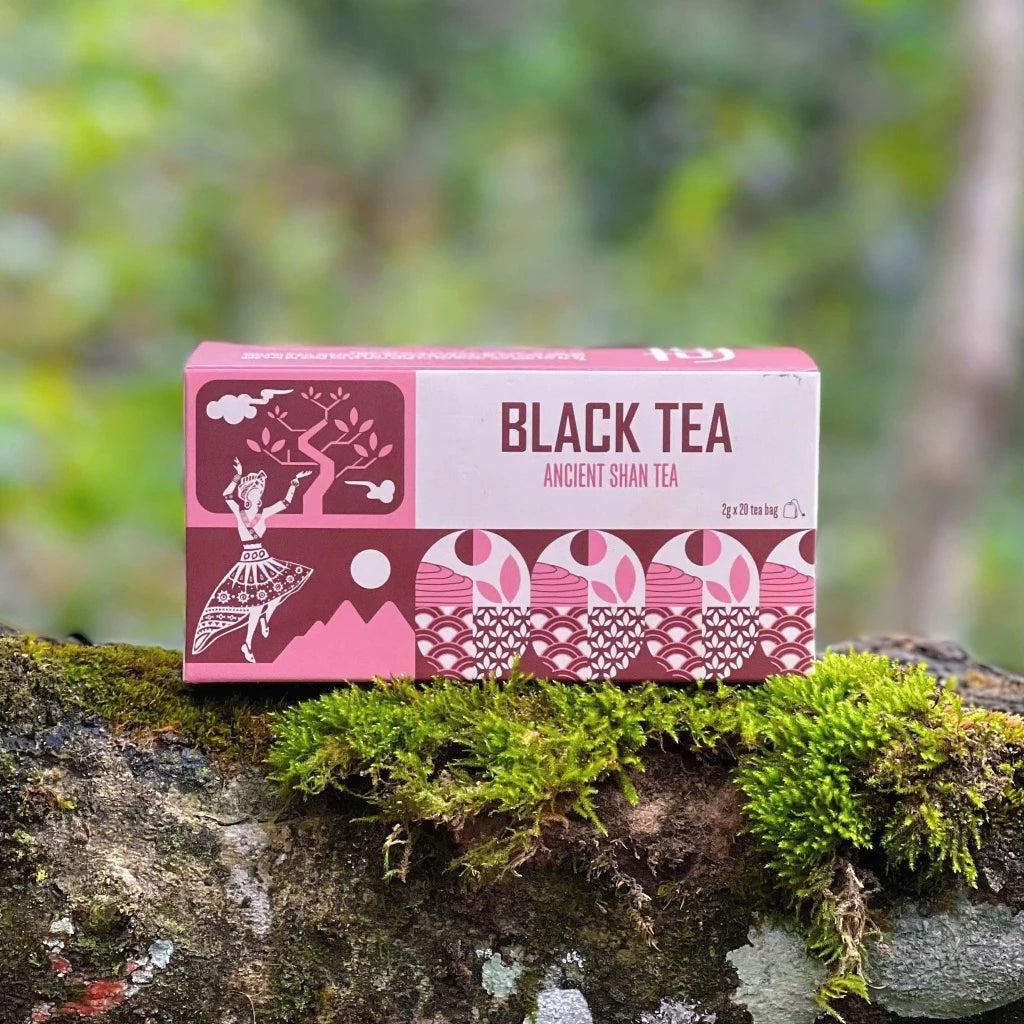 Hồng Trà túi lọc Shan Tuyết cổ thụ 300 năm tuổi Hồ Shan Trà