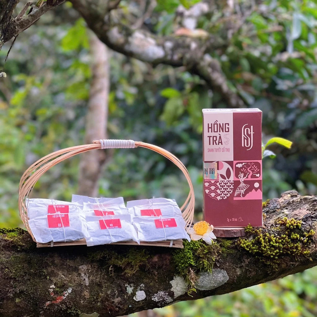 Hồng Trà túi lọc Shan Tuyết cổ thụ 300 năm tuổi Hồ Shan Trà