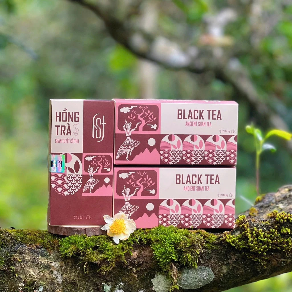 Hồng Trà túi lọc Shan Tuyết cổ thụ 300 năm tuổi Hồ Shan Trà