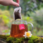 Hồng Trà túi lọc Shan Tuyết cổ thụ 300 năm tuổi Hồ Shan Trà